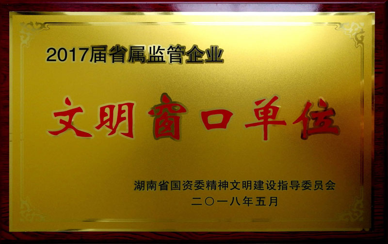 爱游戏官方网站-爱游戏(中国)集团养老产业有限公司荣获“省属监管企业文明窗口单位”称号