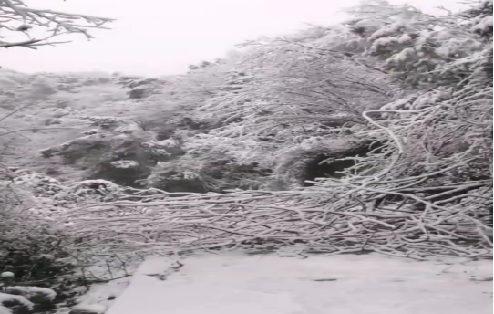 战暴雪、保供电！爱游戏官方网站-爱游戏(中国)鸟儿巢公司应对极端天气紧急抢修失电故障