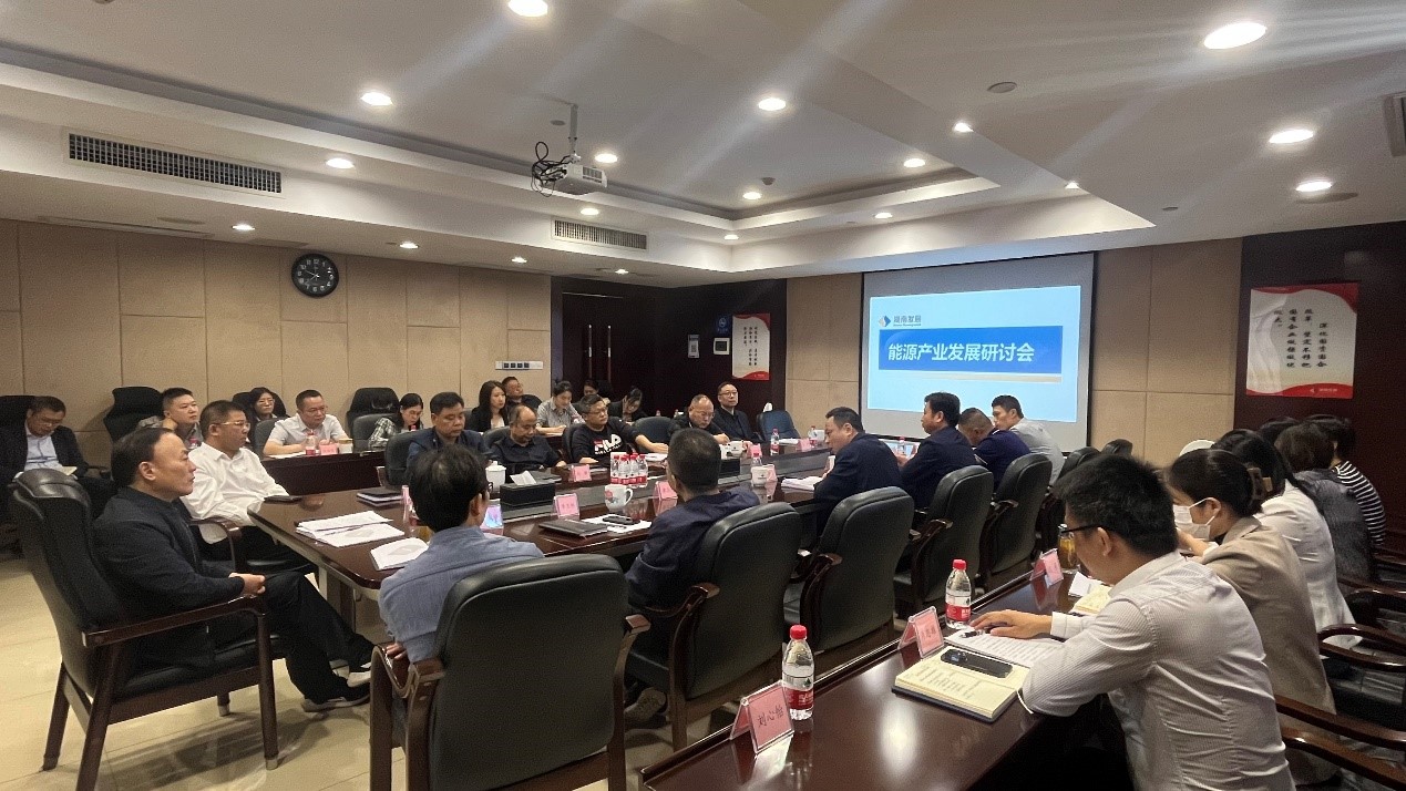 爱游戏官方网站-爱游戏(中国)召开能源产业发展研讨会